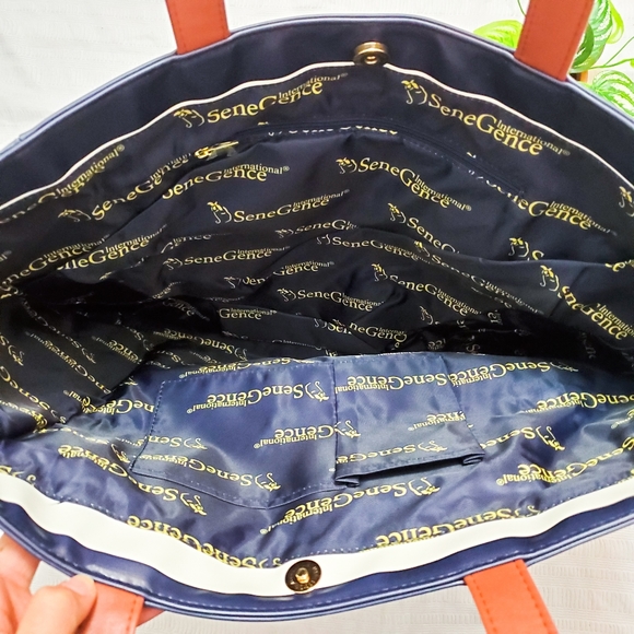 SOLD Senegence Striped Large Display Bag - Picture 4 of 4